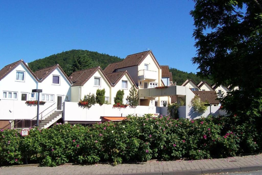 Helle 93M2 Fewo Mit 2 Schlafzimmern Am Edersee Scheid  Bagian luar foto